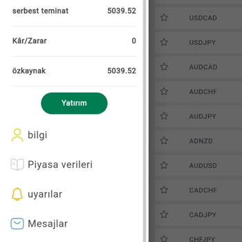Invest Capital 'den Alınan Hizmetlerle İlgili Sorun
