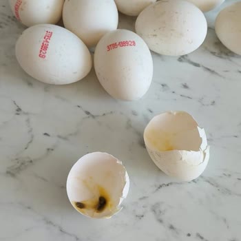 Gimsa Fatih Şubesi Küflü Ürün Satışı