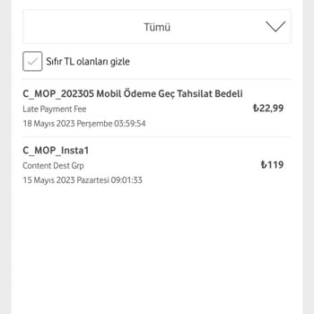 Finans Cosmos Vizyon Elektrik Para Hizmetleri Anonim Şirketi