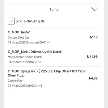 Finans Cosmos Vizyon Elektrik Para Hizmetleri Anonim Şirketi