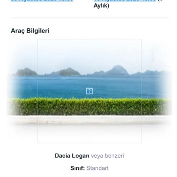 Windy Car Araç İptali Hk;