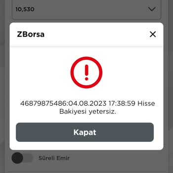 Ziraat Yatırım Hisse Bakiyesi Yetersiz