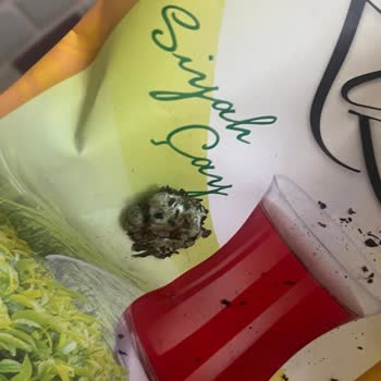 A101 Karadem Çay İçinden Böcek Ve Çiğnenmiş Sakız Çıktı