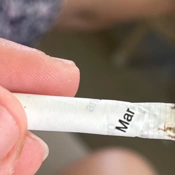 Philip Morris Sigaranın Sarılması Ve İçindekiler