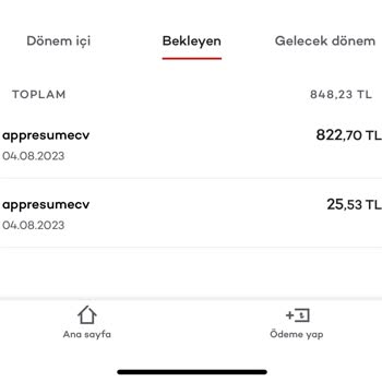 Altresume Fazla Para Çekti