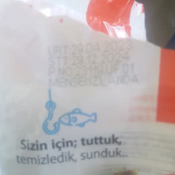 Balık Dünyası Dondurulmuş Bozuk Balık Çıktı