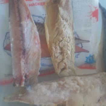 Balık Dünyası Dondurulmuş Bozuk Balık Çıktı