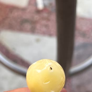 Toybox Karıncalı Lollipop Çomaklı Şeker