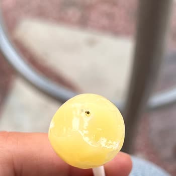 Toybox Karıncalı Lollipop Çomaklı Şeker