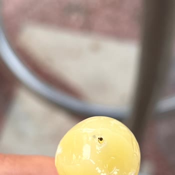 Toybox Karıncalı Lollipop Çomaklı Şeker