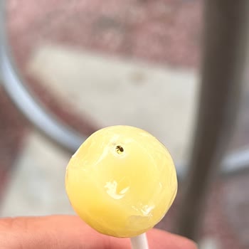 Toybox Karıncalı Lollipop Çomaklı Şeker