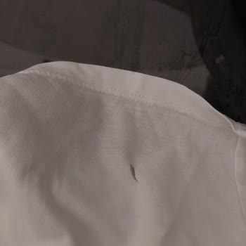 Beko Çamaşır Makinesi Kıyafetlerimizi Yırtıp Pas Lekesi Bırakıyor