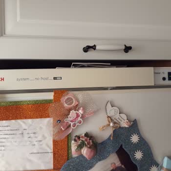 Bosch Markanın Kurulum Servisi Kötü