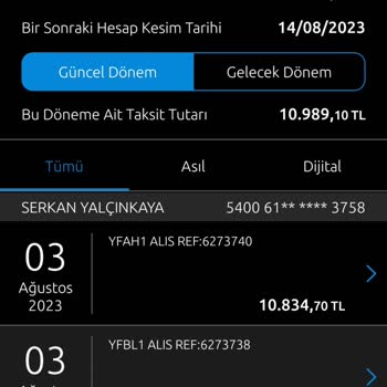 Yapı Kredi Bankası Kredi Kartı İle Yatırım Fonu Almanın Pişmanlığı