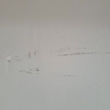 Profilo Servisi Ürünüme Zarar Verdi