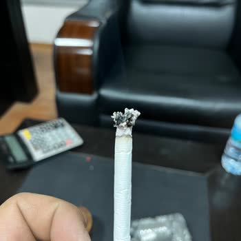 Parliament İçinden Odun Çıkıyor