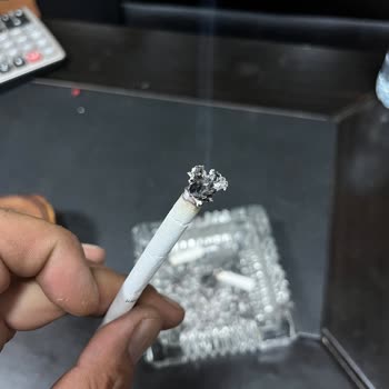 Parliament İçinden Odun Çıkıyor