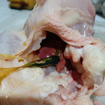 BİM Markette Dışkılı Bağırsaklı Piliç