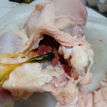 BİM Markette Dışkılı Bağırsaklı Piliç