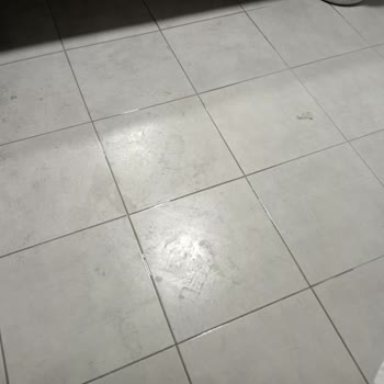 Yüzüncü Yıl Üniversitesi Diş Hekimliği Fakültesi Hastane Temizlik Personeli