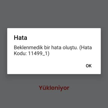 Algida Uygulamaya Girince Hata Veriyor