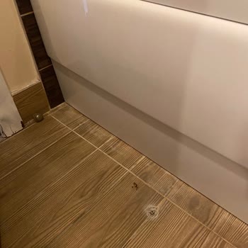 Orange County Alanya Family Concept Kötü Hizmet