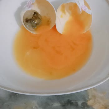 Keskinoğlu Bozuk Ve Gramajı Düşük Yumurta