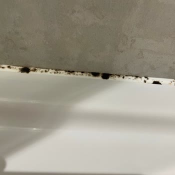 Booking.com Alerji Yapan Oda!