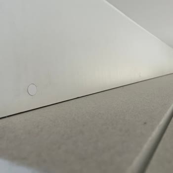 Studio Apartment  I Rented on Booking.com was Filthy, Triggered Allergies