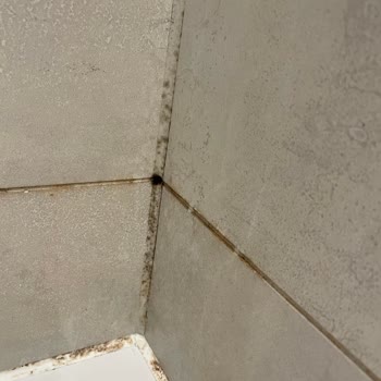 Studio Apartment  I Rented on Booking.com was Filthy, Triggered Allergies