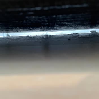 Studio Apartment  I Rented on Booking.com was Filthy, Triggered Allergies