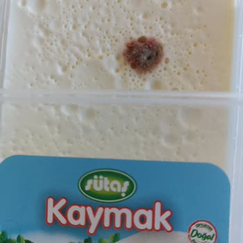 Sütaş Kaymakta Küf Oluşumu