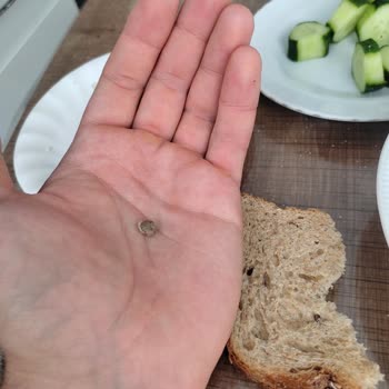 Uno Ekmek Premium Ekmekten Taş Çıktı