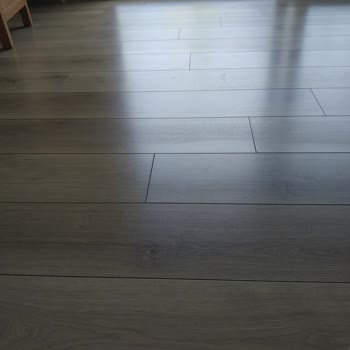 Çamsan Parke Parkede Silme İzleri