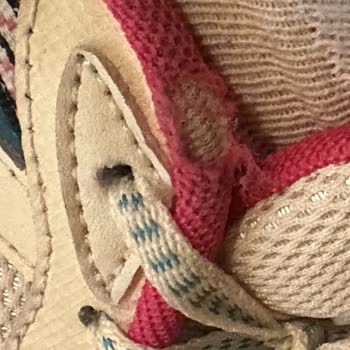 In Street Ürün İnceleme Hata Kabul Etmiyor