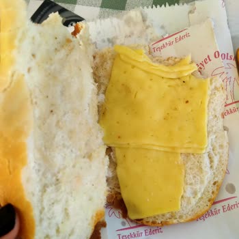 Lion Yüzme Havuzu (Sakarya) Sakarya Lion Yüzme Havuzu