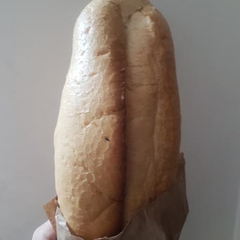 La Lorraine Ekmekten Böcek Çıktı