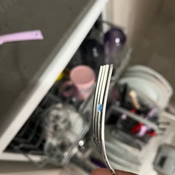 Profilo Bulaşık Makinesi Temizlememesi Ve Servisin İlgilenmemesi
