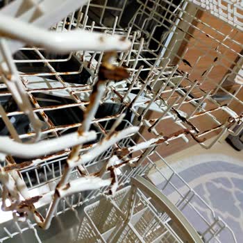 Silverline Bulaşık Makinesi Sepeti Küflendi!