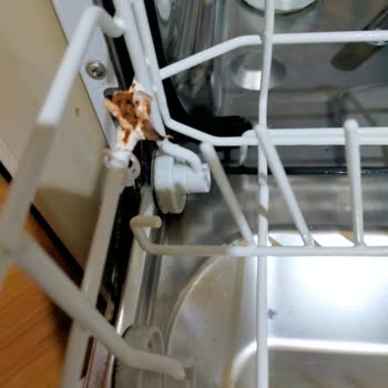 Silverline Bulaşık Makinesi Sepeti Küflendi!