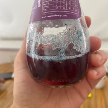 Avşar  Karadut& Frenk Üzümlü Sodada Küf