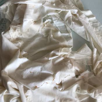 Paramparça Ve Paketine Yapışmış Migros Yufkası