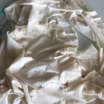 Paramparça Ve Paketine Yapışmış Migros Yufkası