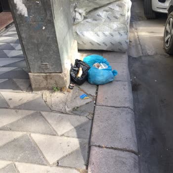 Odunpazarı Belediyesi Cadde Kapı Önüne Çıkarılan Çöpler