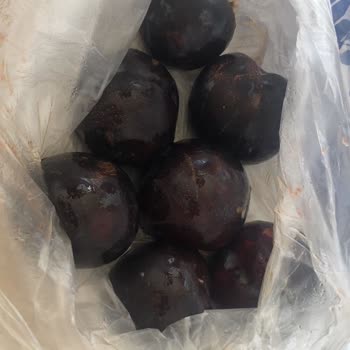 Trendyol Aracılığıyla Altunbileklerden Sipariş İle Gelen
Çürümüş Erik