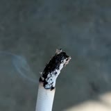 Philip Morris Odun Var Tüt