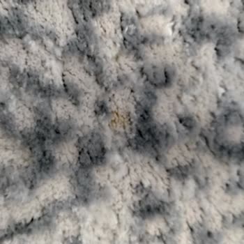 Karadeniz Halı Yıkama (Bağcılar) Halıda Lekeler Var!