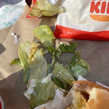 Burger King Çürümüş Göbek Kullanıyor