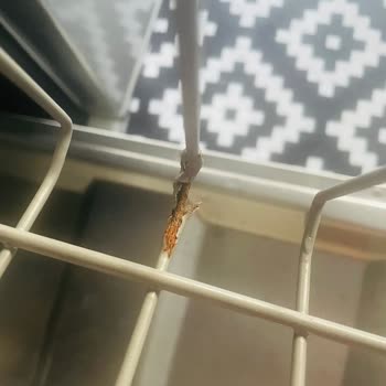 Teka Bulaşık Makinesi Sepet Sorunu