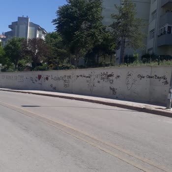 Yenimahalle Belediyesi Duvar Yazıları Her Yerde